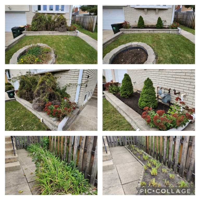 Collage 2022 10 17 15 34 03 Kyle Winkler 2 768x768